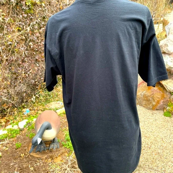 Black, short sleeve, T-shirt, size M - Picture 2 of 3